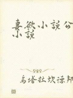 妻欲小说公与媳小说