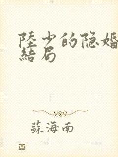 陆少的隐婚罪妻结局