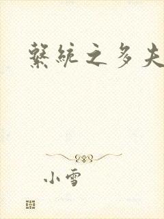 系统之多夫HP封面