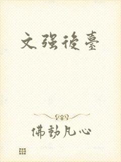 文强后台