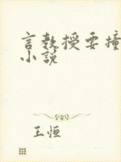 言教授要撞坏了小说