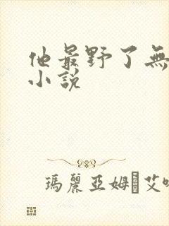 他最野了无删减小说
