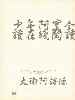 少年阿宾全文阅读在线阅读全文