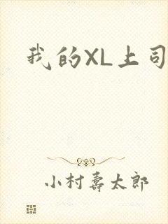 我的XL上司