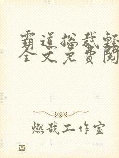 霸道总裁轻轻爱全文免费阅读