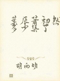 叶辰萧初然更新多少集了封面