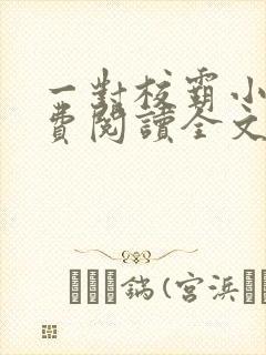 一对校霸小说免费阅读全文无弹窗