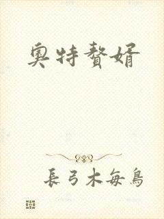 奥特赘婿