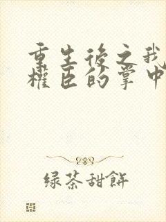 重生后之我成了权臣的掌中娇