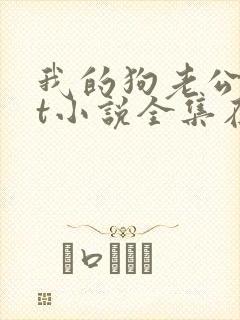 我的狗老公txt小说全集在线阅读