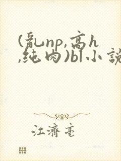 (乱np,高h,纯肉)bl小说
