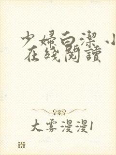 少妇白洁 小说 在线阅读