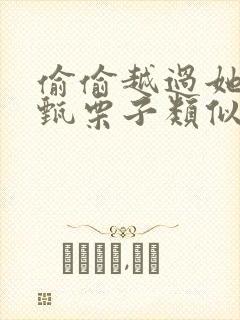偷偷越过她by甄栗子类似小说