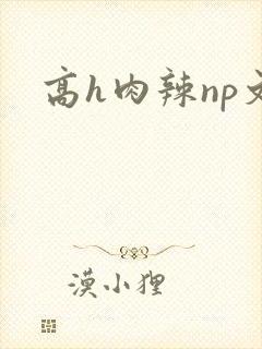 高h肉辣np文