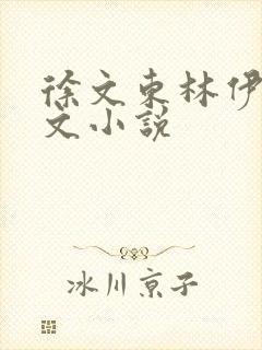 徐文东林伊人全文小说封面