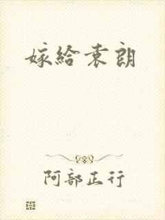 嫁给袁朗