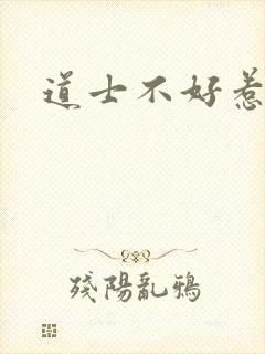 道士不好惹小说