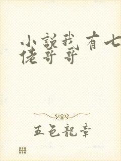 小说我有七个大佬哥哥