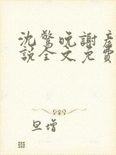 沈惊晚谢彦辞小说全文免费阅读
