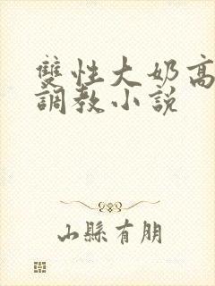 双性大奶高嗨黄调教小说