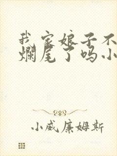 我家娘子不对劲烂尾了吗小说封面