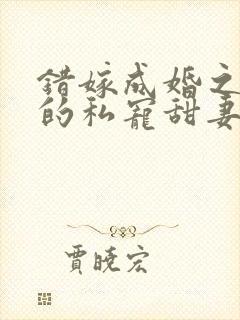 错嫁成婚之总裁的私宠甜妻全文阅读