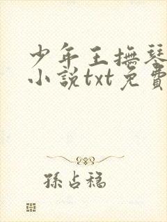少年王抚琴的人小说txt免费下载