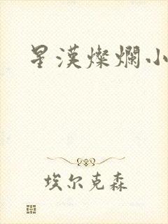 星汉灿烂小说