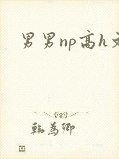 男男np高h文