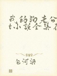 我的狗老公txt小说全集在线阅读