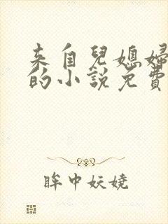 来自儿媳妇的爱的小说免费阅读
