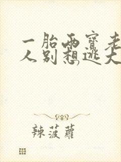 一胎两宝老婆大人别想逃大结局