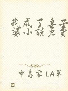我成了妻子的老婆小说免费阅读全文封面
