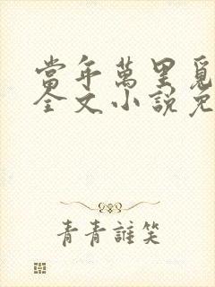 当年万里觅封侯全文小说免费阅读封面