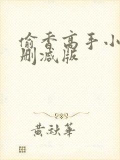 偷香高手小说无删减版