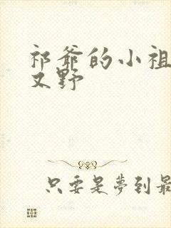 祁爷的小祖宗甜又野封面