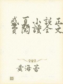 盛夏小说正版免费阅读全文