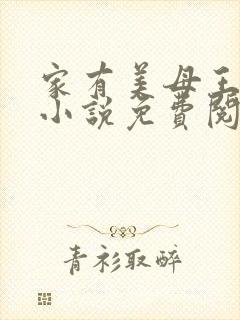 家有美母王美芸小说免费阅读