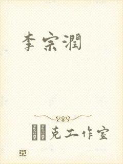 李宗润封面