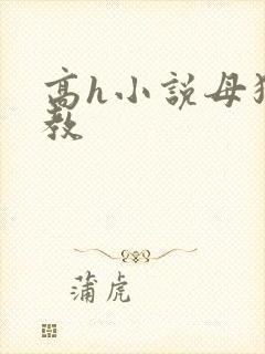 高h小说母狗调教