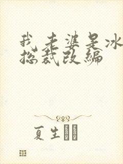 我老婆是冰山女总裁改编