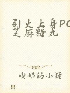 引火上身POP芝麻糖丸