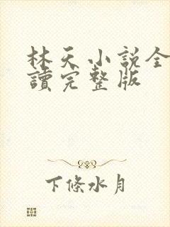 林天小说全文阅读完整版