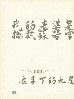 我的老婆是冰山总裁苏若雪沈浪