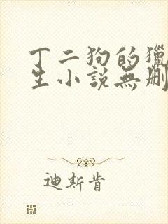 丁二狗的猎艳人生小说无删减下载