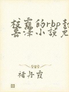 校霸的rbp封嘉泽小说免费