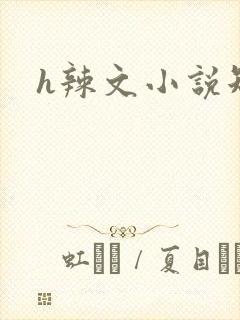 h辣文小说短篇封面