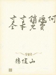 寸寸销魂何生祥全本免费封面