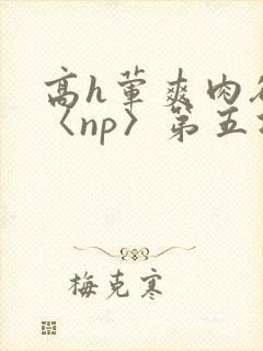 高h荤爽肉欲文〈np〉第五次封面