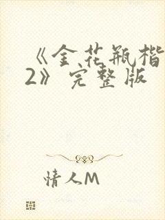 《金花瓶楷梅花2》完整版